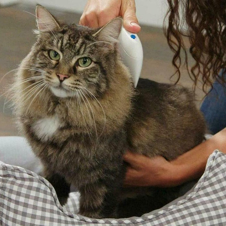 NOFLEA™: Electric Pet Flea Extractor