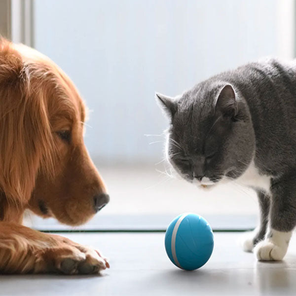 PETOMY™: Smart Pet Ball