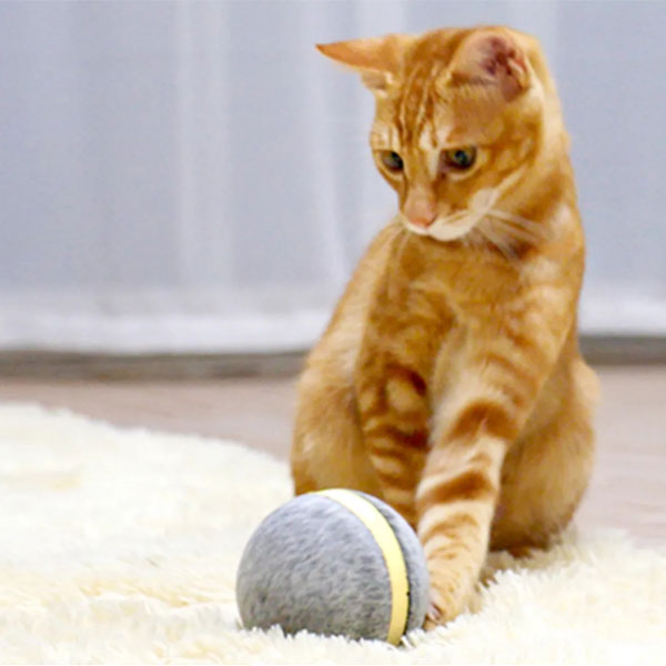 PETOMY™: Smart Pet Ball