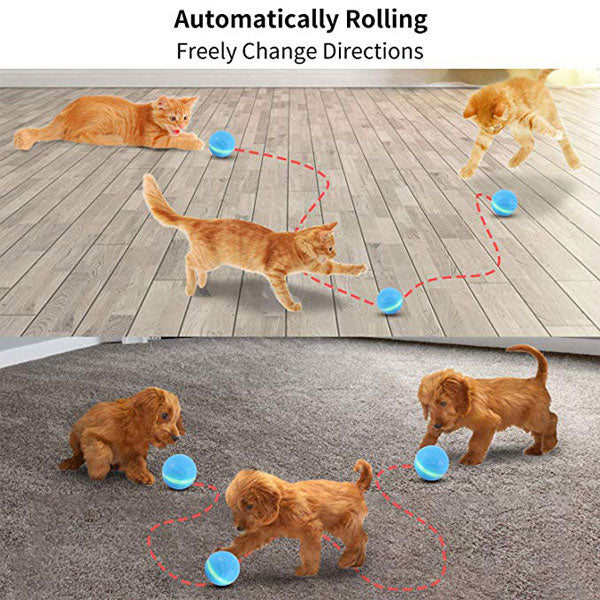 PETOMY™: Smart Pet Ball