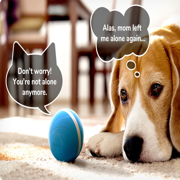 PETOMY™: Smart Pet Ball