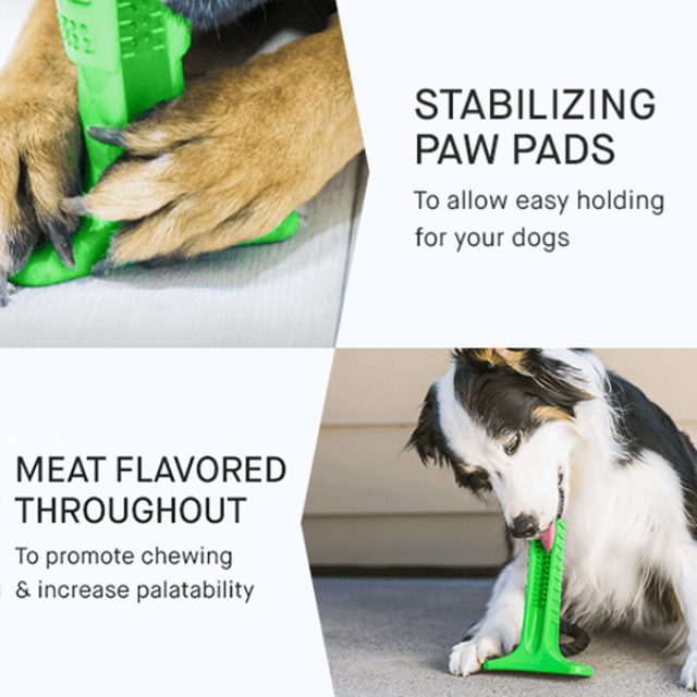 DOGBRUSH™ : DOG Teeth Cleaning Stick