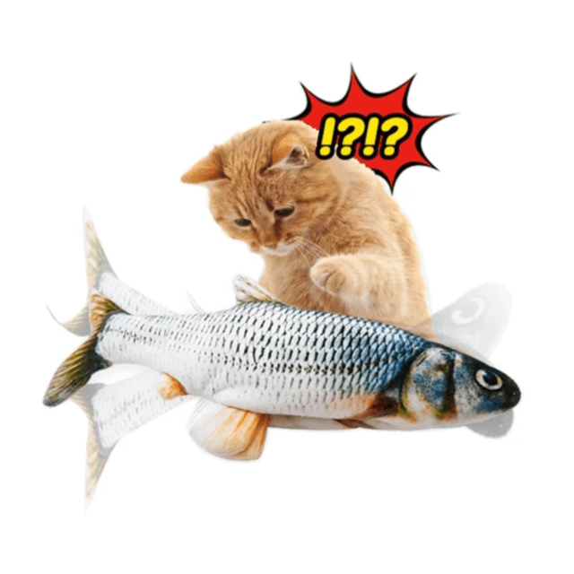 FUNTOY™ : Dancing Fish Cat Toy - Realistic Moves!