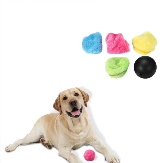 PETOY™ : Magic Pet Roller Ball Toy