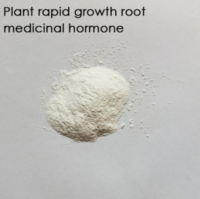 ROOTYN™ : Rapid Rooting Powder