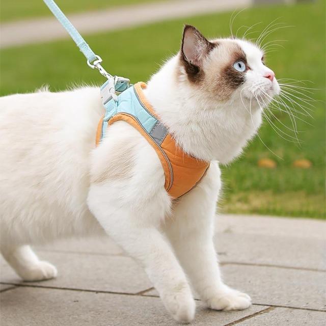 CATSET™ : Cat Harness and Leash Set