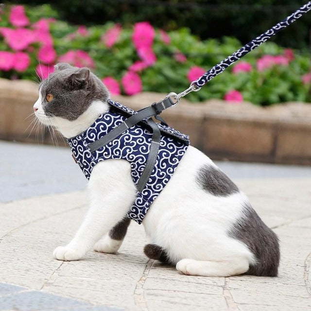 VECAT™ : Adjustable Cat Vest Harness With Leash