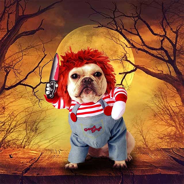 DOGBO™ : Dog Halloween Costume