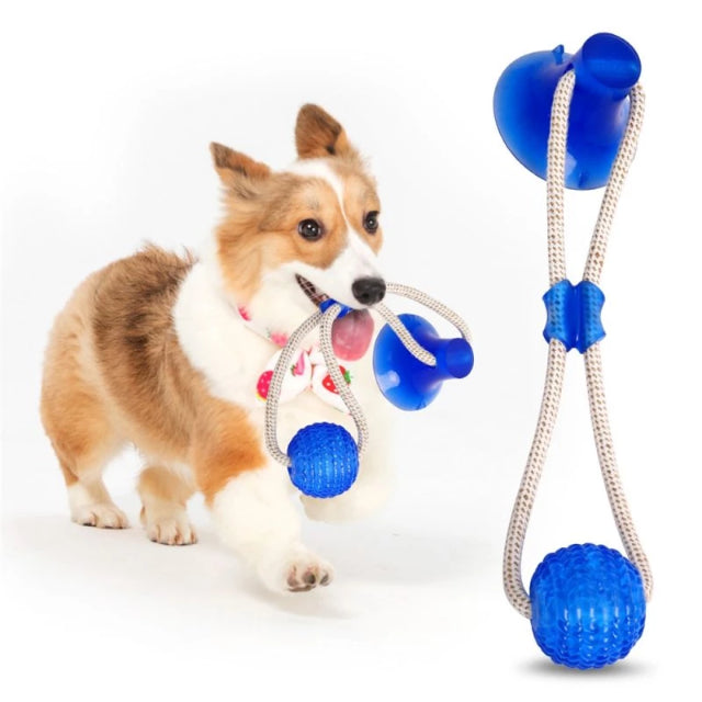 CHOY™ : Interactive Tug-of-war Dog Toy