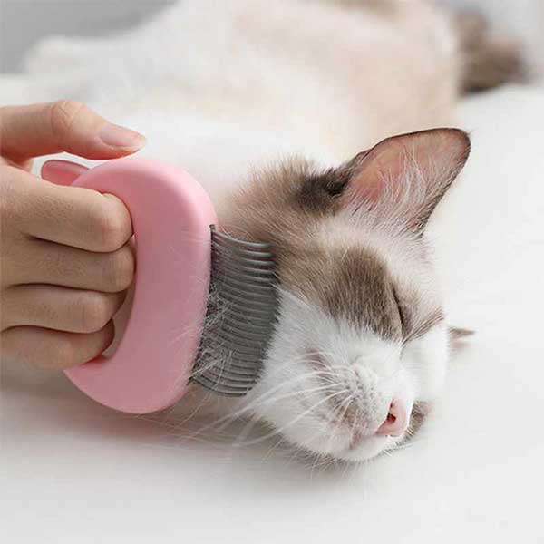 CATMAS™: Pet massage-cleaning comb