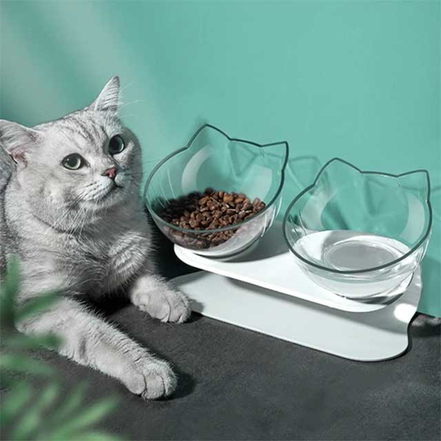 SAFEED™ : Orthopedic Anti-Vomiting Cat Feeder