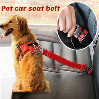 PETSAF™: Dog's Car Seat Belt