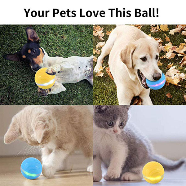 PETOMY™: Smart Pet Ball