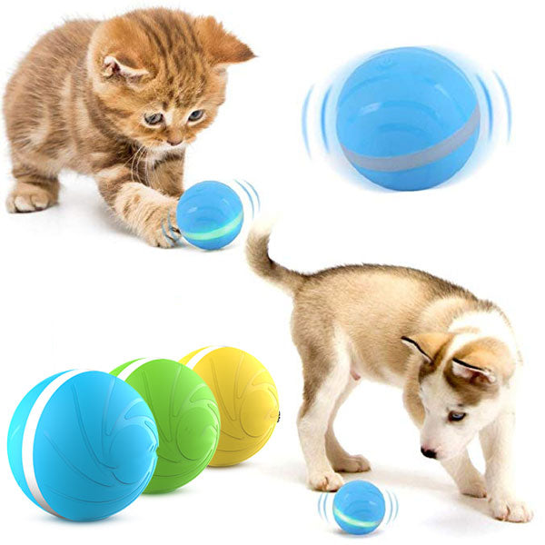 PETOMY™: Anti-Boredom Smart Pet Ball