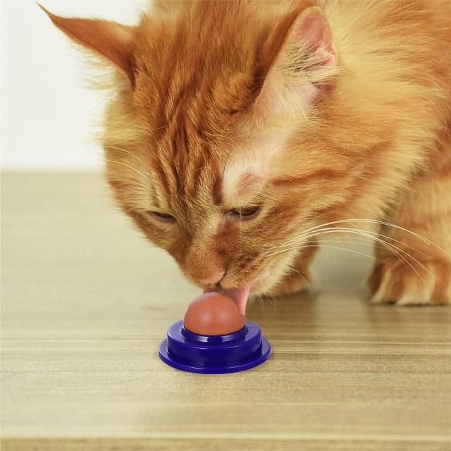 LICANDY™ : Healthy Lickable Candy for Cat